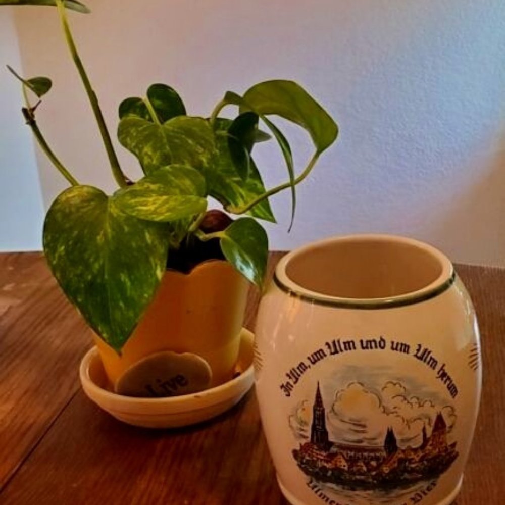 Ulmer Keramik Munster Bier Hand Painted Pottery Stein Breweriana Pottery 16oz